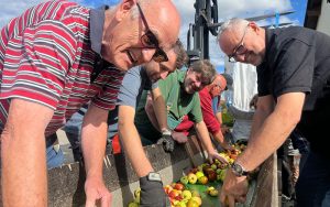 20 Tonnen Streuobst für Apfelschorle – schlechteste Ernte